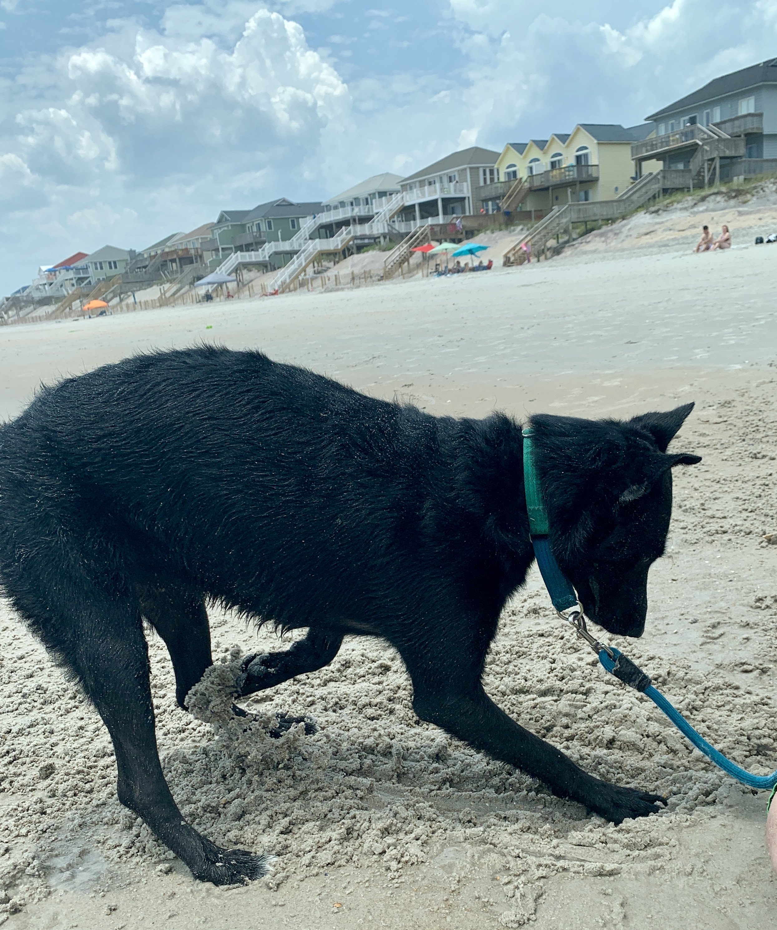 Beach day